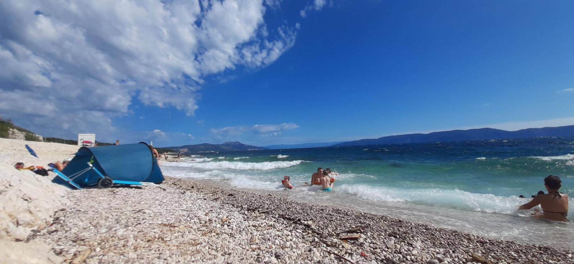 Lavandula * Labin (Istria)